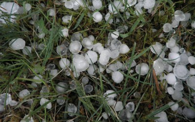 Hail in Front Yard