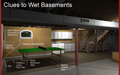 Signs of a wet basement