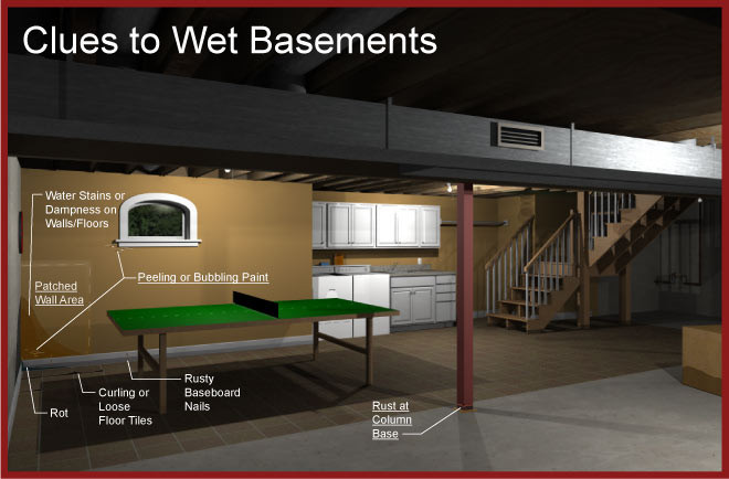 Signs of a wet basement